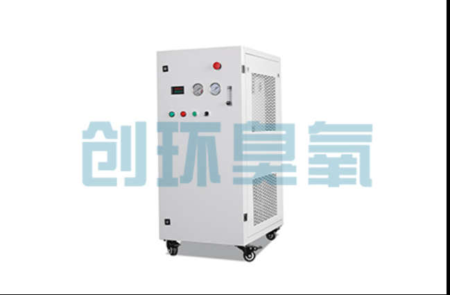 伊犁工厂化养鲈必看:2026年臭氧发生器替代传统消毒的最新方案