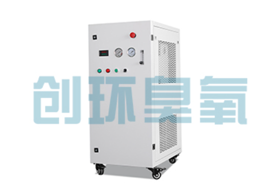 伊犁石斑鱼养殖水质调控完整指南：臭氧发生器配置与操作步骤