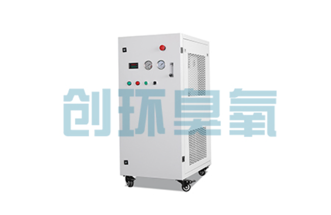 伊犁比传统换水更高效？臭氧发生器在石斑鱼养殖中的水质净化原理解析